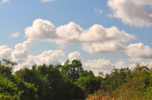 Cloud Cloud